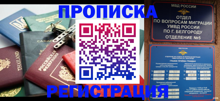 временная регистрация недорого в Михайловке